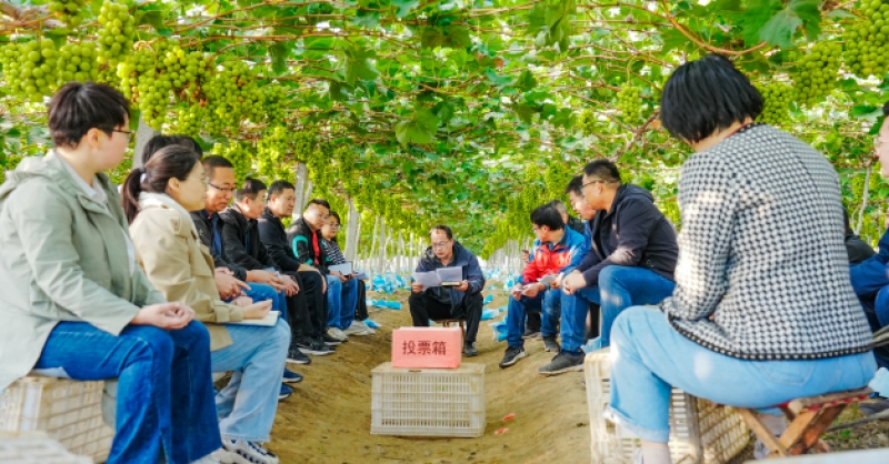 深入一線 學干結合 這場主題黨日活動別開生面