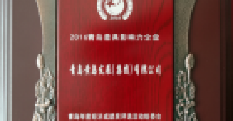 黃發集團榮獲“2016青島最具影響力企業”稱號